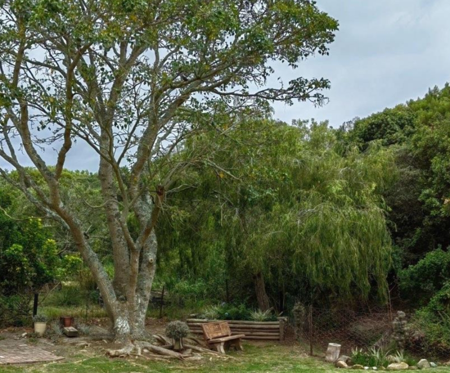 3 Bedroom Property for Sale in Noorsekloof Eastern Cape